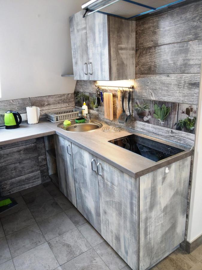 Apartamenty Majerczyk Zakopane Extérieur photo